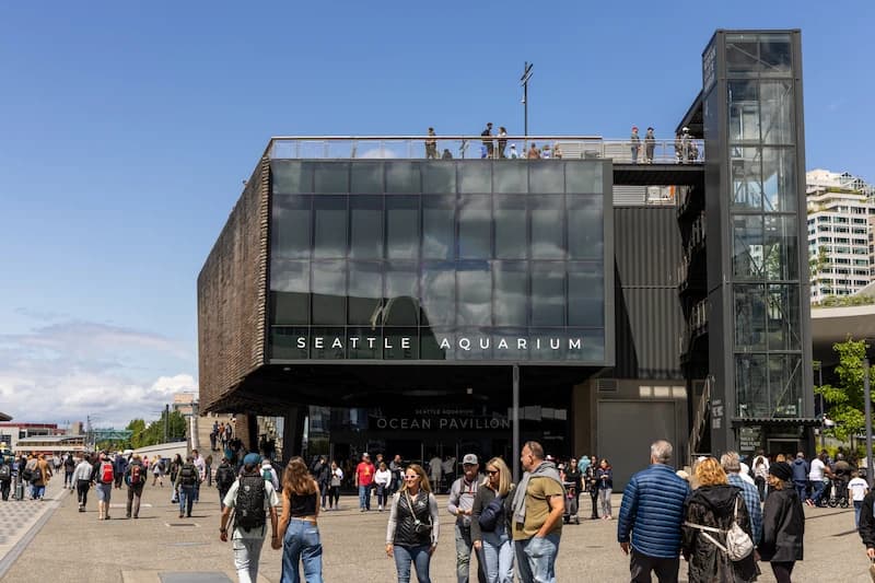 Guests visiting the Seattle Aquarium's Ocean Pavilion looking through a viewing window into The Reef habitat inside the Ocean Pavilion.