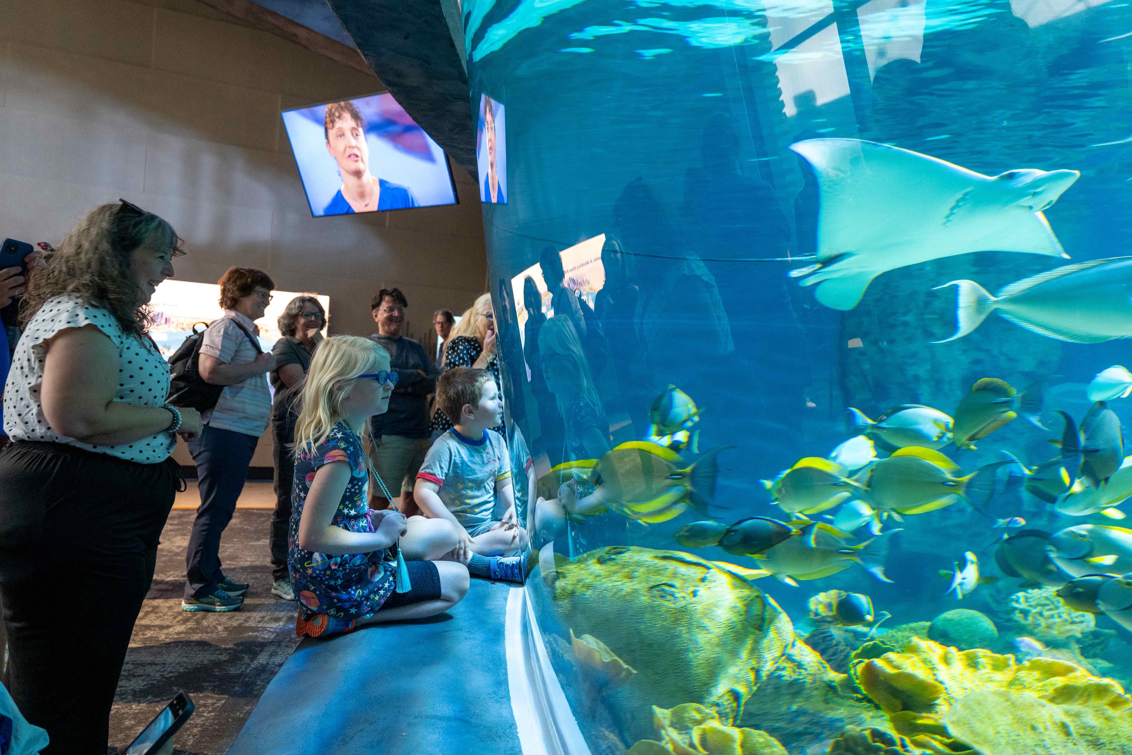 Guests visiting the Seattle Aquarium's Ocean Pavilion looking through a viewing window into The Reef habitat inside the Ocean Pavilion.