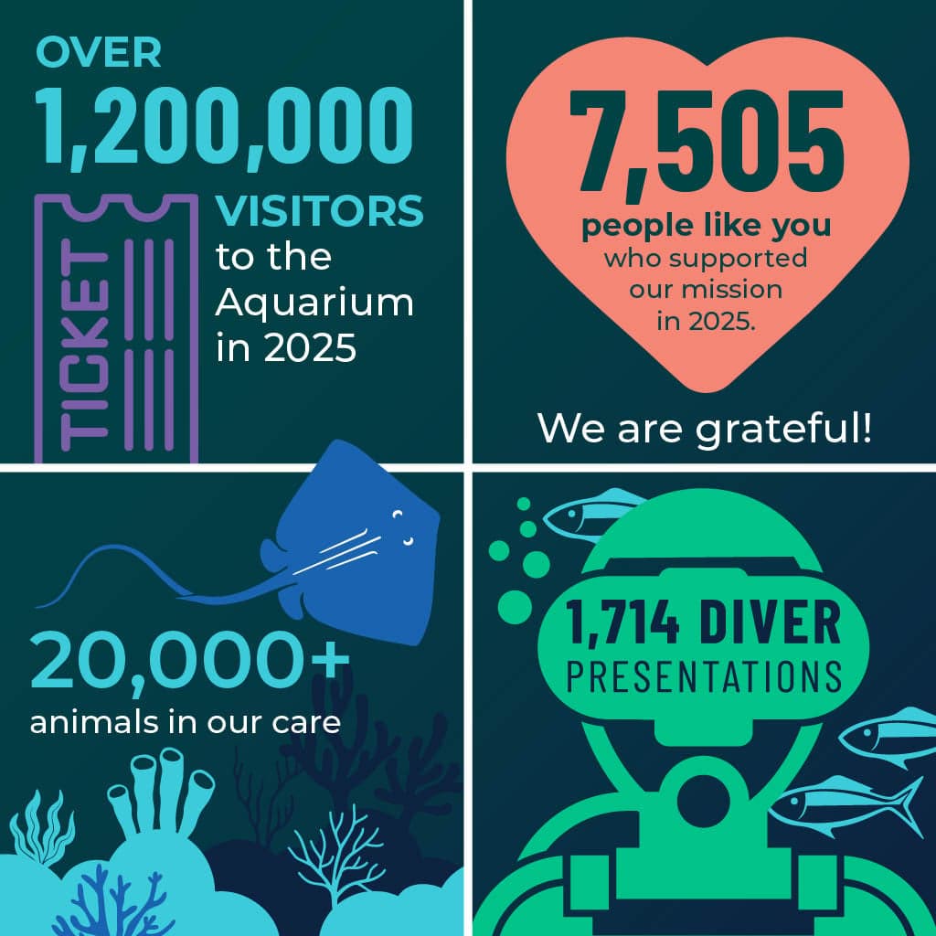 Infographic highlighting over 1.2 million visitors, 7,505 supporters, 20,000 plus animals in our care, and 1.714 diver presentations.